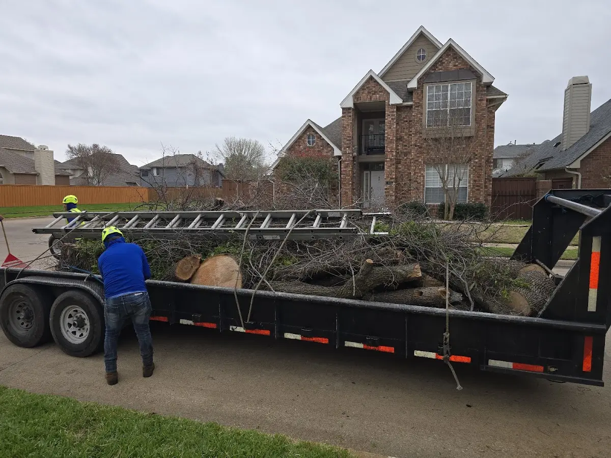 Expert Crown Reduction with proper safety equipment in Hendersonville